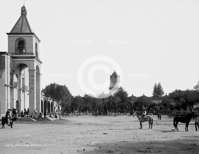 Hacienda Peotillos, between 1880 and 1897. Creator: William H. Jackson.