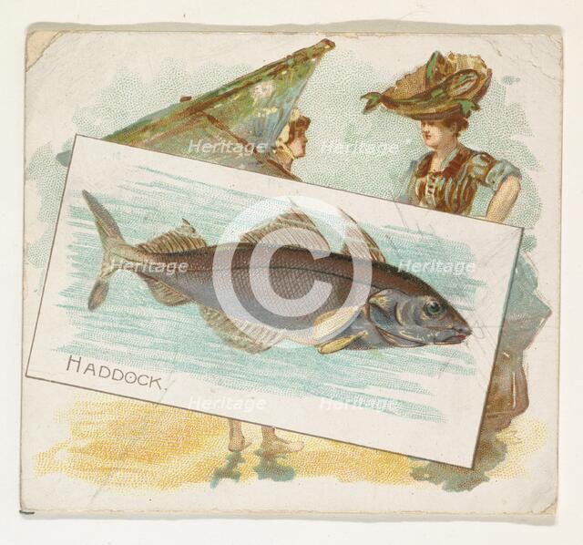 Haddock, from Fish from American Waters series (N39) for Allen & Ginter Cigarettes, 1889. Creator: Allen & Ginter.
