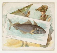 Haddock, from Fish from American Waters series (N39) for Allen & Ginter Cigarettes, 1889. Creator: Allen & Ginter