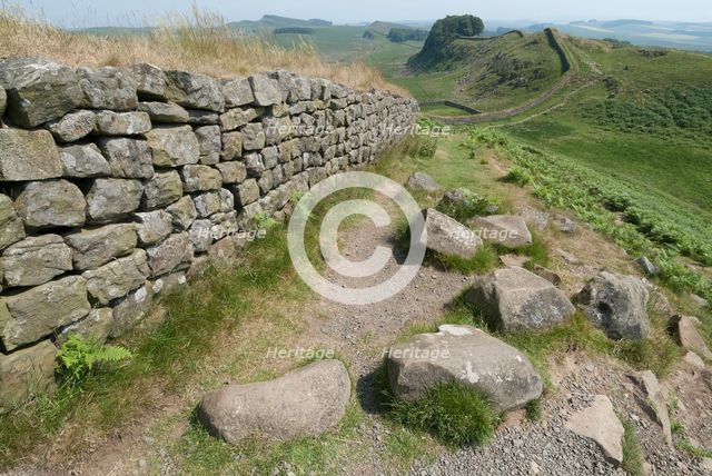 Hadrian's Wall, 2006. Creator: Ethel Davies.
