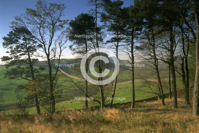 Hadrian's Wall, Northumberland, 1994. Artist: Paul Highnam