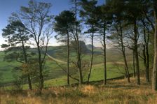 Hadrian's Wall, Northumberland, 1994. Artist: Paul Highnam
