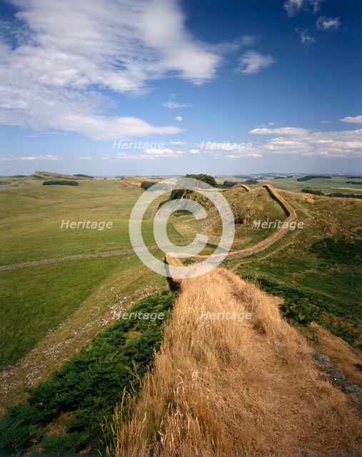 Hadrian's Wall, Northumberland, 2010. Artist: Paul Highnam.