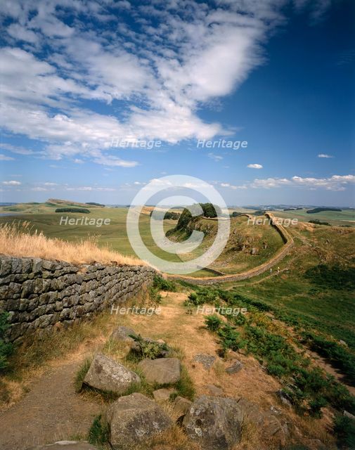 Hadrian's Wall, Northumberland, 2010. Creator: Paul Highnam.
