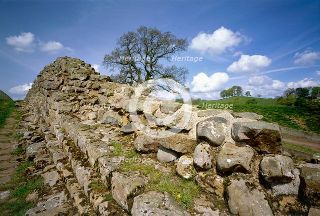 Hadrian's Wall, Willowford, Northumberland, 2010. Artist: Graeme Peacock.