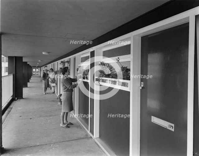 Hahnemann Court, Carley Hill Road, Southwick, Sunderland, 10/10/1966. Creator: John Laing plc.