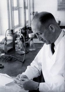 Haim Ernst Wertheimer. Creator: Unknown