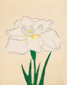 Haku-O-Den, No. 40, 1890, (colour woodblock print)