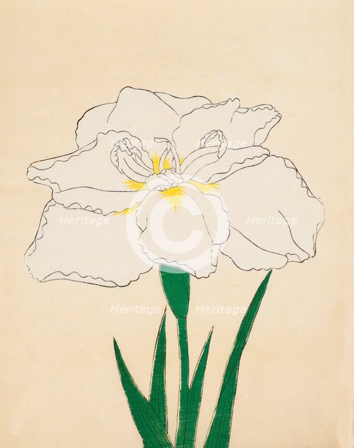 Haku-O-Den, No. 40, 1890, (colour woodblock print)