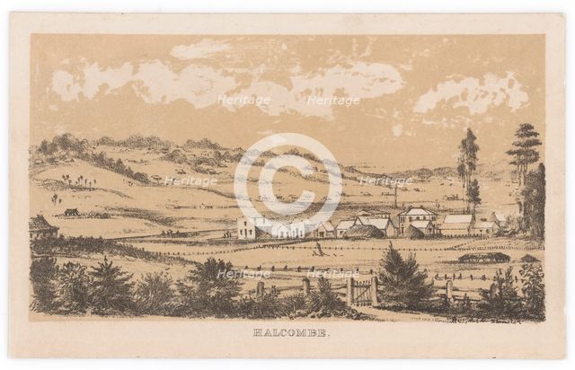 Halcombe,  c.1878. Creator: Edith Stanway Halcombe.