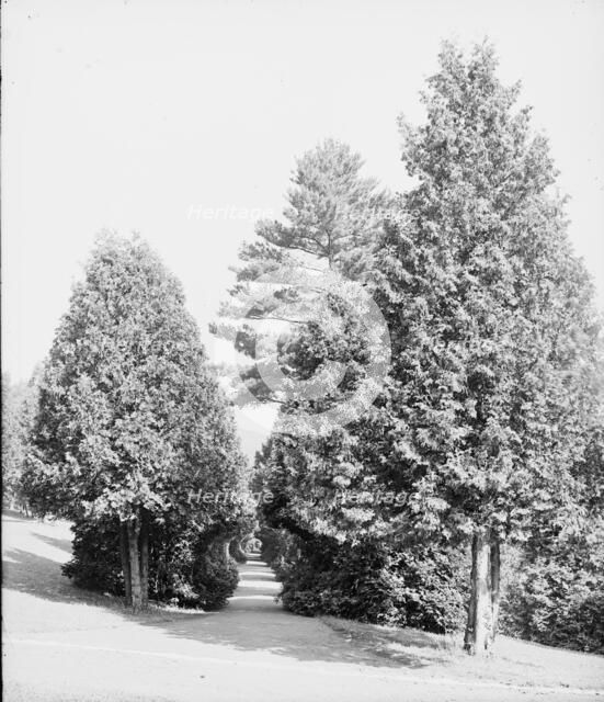 Half through the cedars, Fort William Henry Hotel, Lake George, N.Y., between 1900 and 1905. Creator: Unknown.