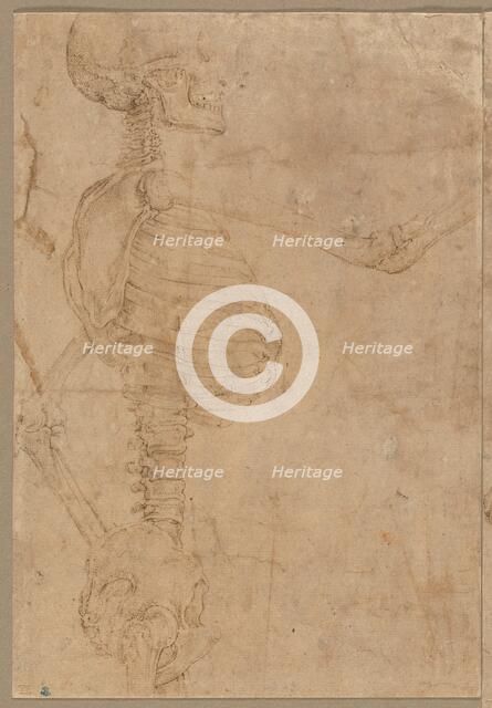 Half-Length Skeleton in Profile, early 1540s. Creator: Battista Franco (Italian, 1498?-1561).