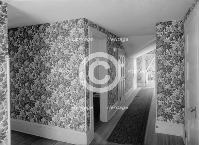 Hall with floral wallpaper, probably in a clubhouse, New York City, between 1900 and 1910. Creator: William H. Jackson.