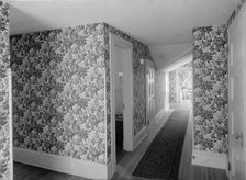 Hall with floral wallpaper, probably in a clubhouse, New York City, between 1900 and 1910. Creator: William H. Jackson
