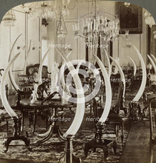 'Hall of Tusks,' in the home of Lady de Soysa, Bambalapitiya, Colombo, Ceylon, 1903. Artist: Underwood & Underwood