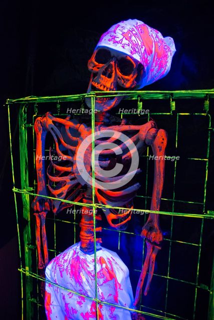 Halloween, San Diego, California, USA, 2022. Creator: Ethel Davies.