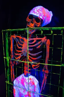 Halloween, San Diego, California, USA, 2022. Creator: Ethel Davies