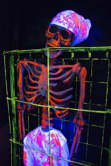 Halloween, San Diego, California, USA, 2022. Creator: Ethel Davies