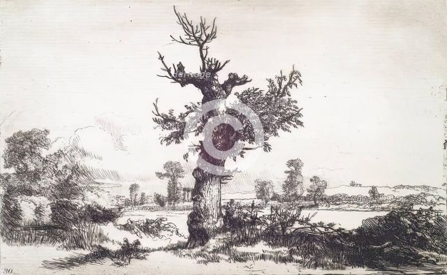 Halliford on Thames: Stump of a Tree in Centre, c1826. Creator: Andrew Geddes.