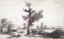 Halliford on Thames: Stump of a Tree in Centre, c1826. Creator: Andrew Geddes