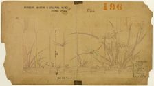 Hammering, Mounting and Engraving Design for Pitcher No. 5051, 1878. Creator: Tiffany & Co