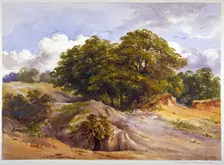 Hampstead Heath, London, c1843. Artist: Anon
