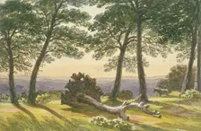Hampstead Heath, London, c1830. Artist: J Powell