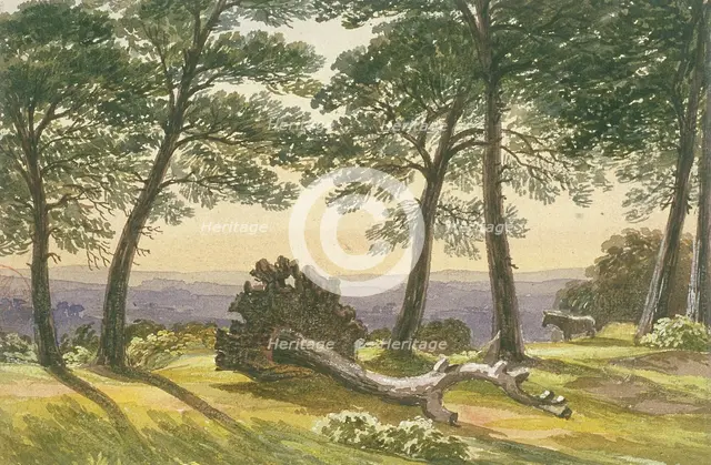 Hampstead Heath, London, c1830. Artist: J Powell