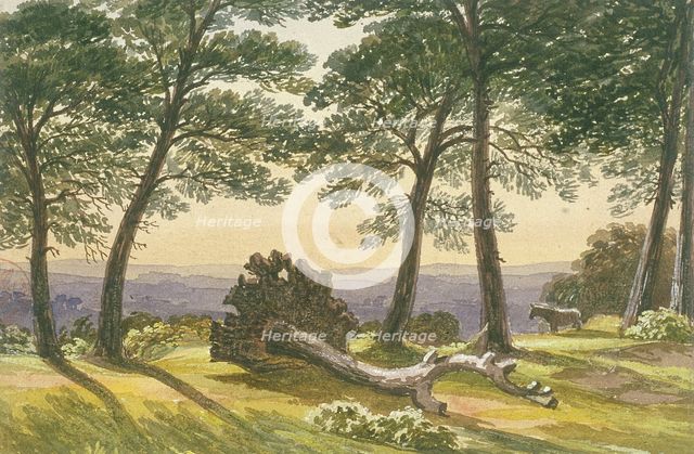 Hampstead Heath, London, c1830. Artist: J Powell