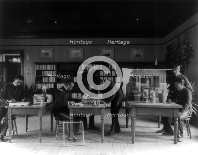 Hampton Institute, Hampton, Va. - teacher and five students studying insects in the..., 1899 or 1900 Creator: Frances Benjamin Johnston.
