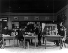 Hampton Institute, Hampton, Va. - teacher and five students studying insects in the..., 1899 or 1900 Creator: Frances Benjamin Johnston