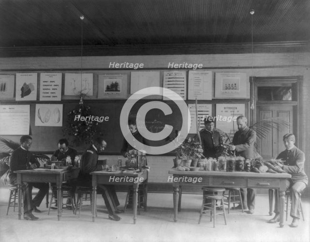 Hampton Institute, Va. - Plant study lab, 1899 or 1900. Creator: Frances Benjamin Johnston.