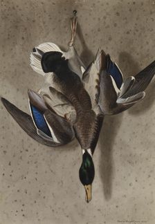 Hanging Mallard, 1834. Creator: Ferdinand von Wright