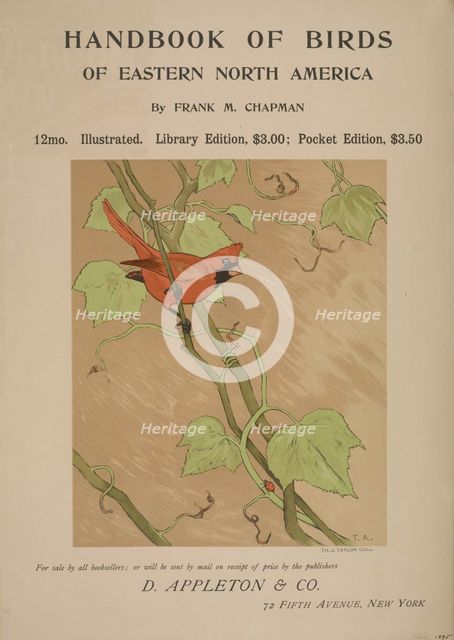 Handbook of birds of eastern north America, c1895. Creator: Unknown.