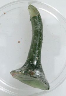 Handle, Coptic, 4th-early 5th century. Creator: Unknown