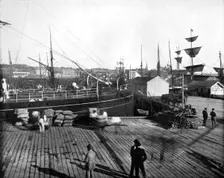 Harbour of Auckland, New Zealand, 1893.Artist: John L Stoddard