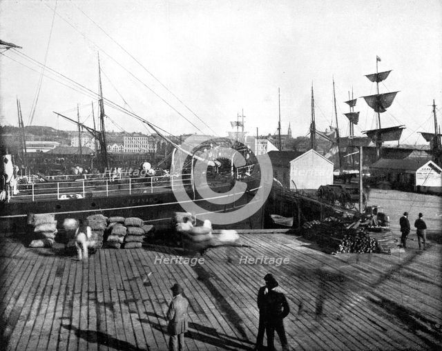 Harbour of Auckland, New Zealand, 1893.Artist: John L Stoddard