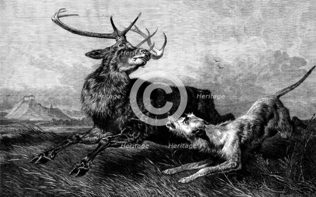 "Hard Pressed", diploma picture by R. Ansdell, R.A., 1873. Creator: Richard Ansdell.