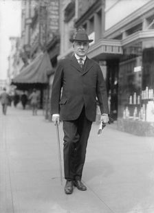 Harding, Warren Gamaliel, Senator from Ohio, 1915-1921, President of The U.S., 1921-1923, 1917. Creator: Harris & Ewing