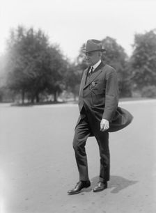 Harding, Warren Gamaliel, Senator from Ohio, 1915-1921, President of The U.S., 1921-1923, 1917. Creator: Harris & Ewing