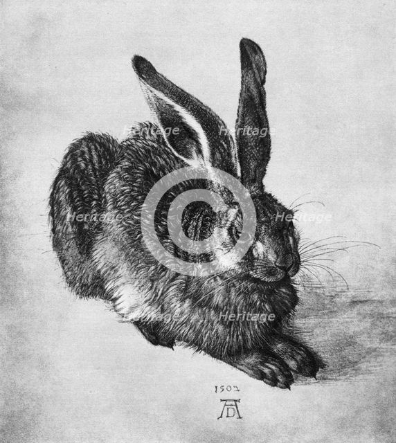 'Hare', 1502, (1936). Artist: Albrecht Dürer