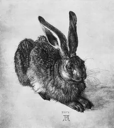 Hare 1502, (1936). Artist: Albrecht Dürer