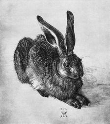 Hare 1502, (1936). Artist: Albrecht Dürer