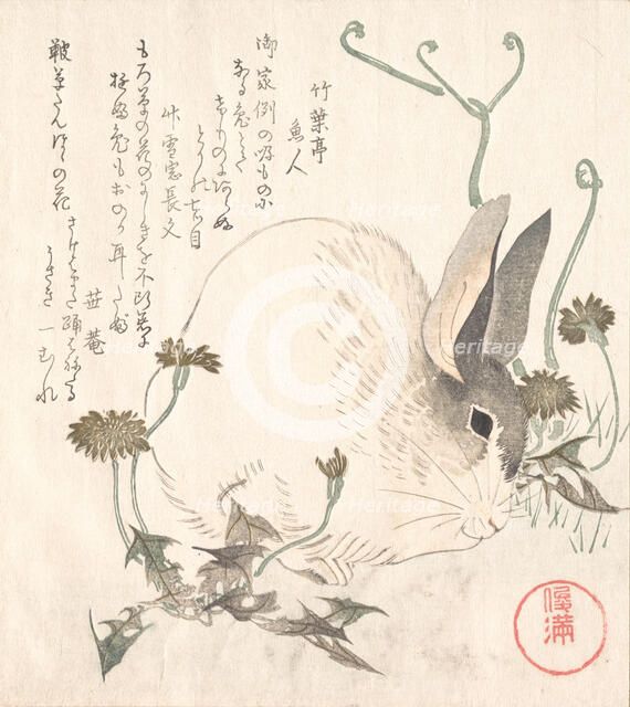Hare and Dandelion?, probably 1820. Creator: Kubo Shunman.