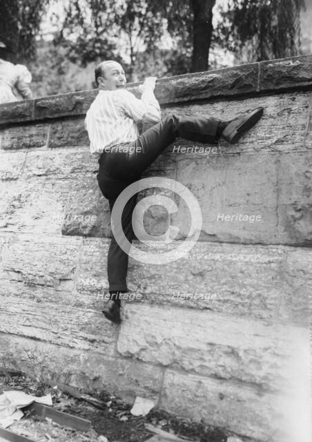 Hare, between c1915 and c1920. Creator: Bain News Service.