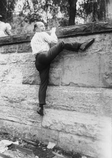 Hare, between c1915 and c1920. Creator: Bain News Service