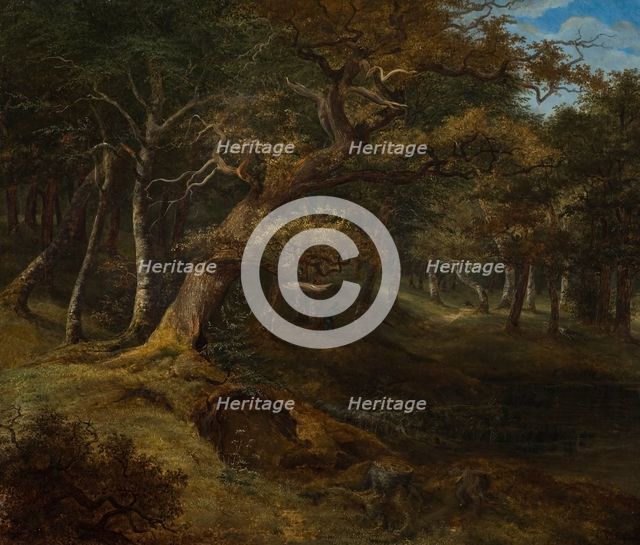Hare-hunt in a Beech Forest, 1826. Creator: Johann Christian Michael Ezdorf.