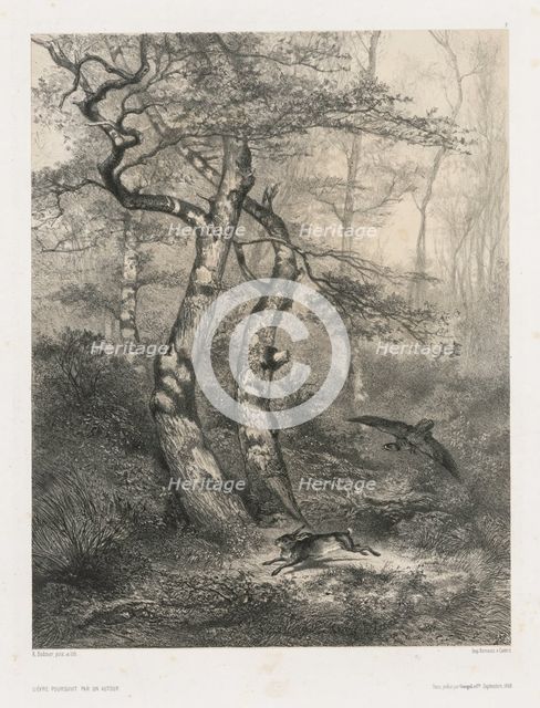 Hare Pursued by a Goshawk, 1858. Creator: Karl Bodmer (Swiss, 1809-1893); Goupil & Co., Paris.