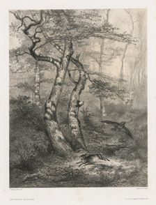 Hare Pursued by a Goshawk, 1858. Creator: Karl Bodmer (Swiss, 1809-1893); Goupil & Co., Paris