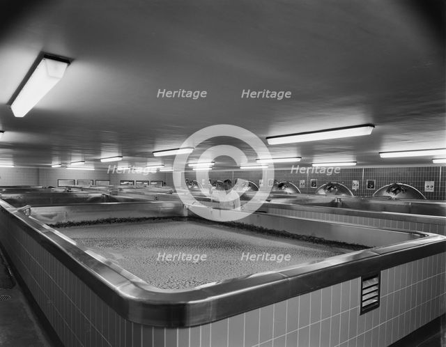 Harp Lager Brewery, Drayman's Way, Manor Park, Alton, East Hampshire, Hampshire, 04/07/1963. Creator: John Laing plc.